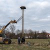 2018 Storchennest(auf)bau in Ausbuettel und Ribbesbuettel 033